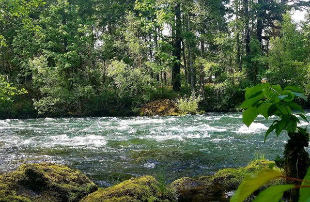 Belknap House on the McKenzie River