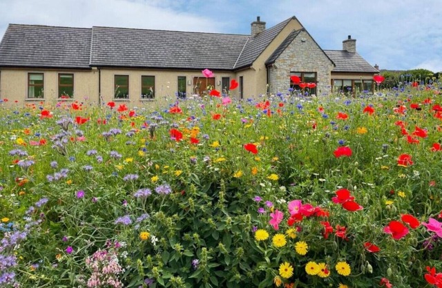 Bells Holiday Homes The Homeplace