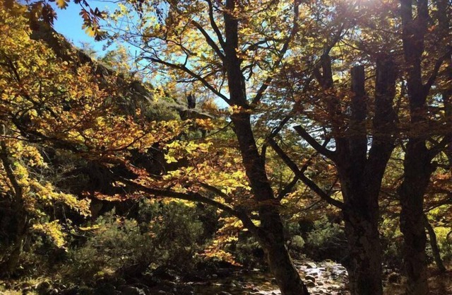 Belvilla by OYO Single chalet en La Adrada