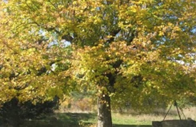 Bergerie des Marquisans - 5 people, in the heart of nature, 2 km from AUREL.