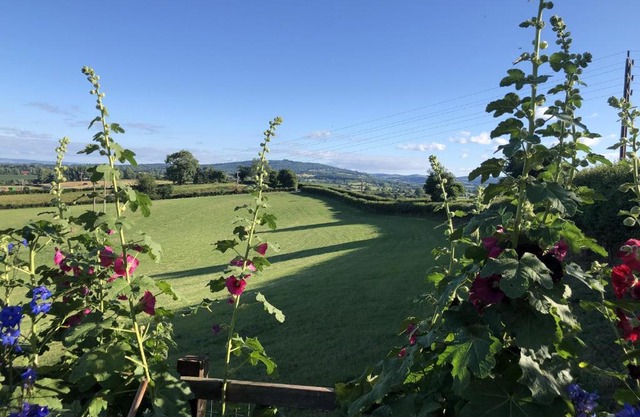 Betula Views Studio