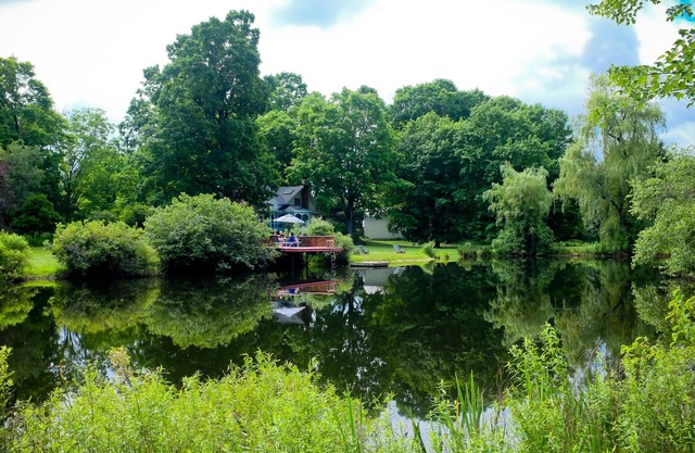 Blissful 1848 Farmhouse, vegetable garden, swim pond, screen porch