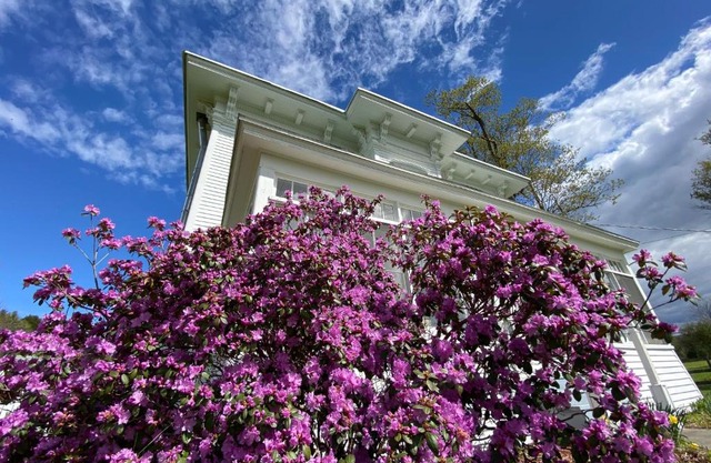 Bloom Farm Guesthouse