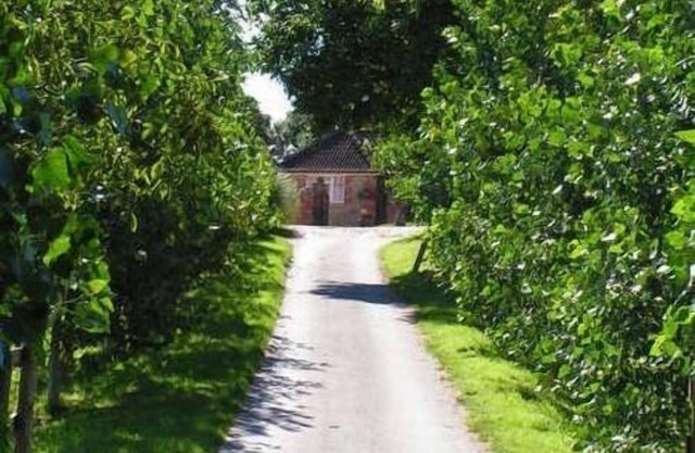 Blounts Court Farm