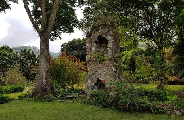Blue Mountains Jamaican Vacation