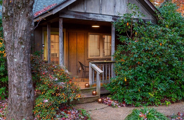 Blue Ridge Parkway cabin-2BR, hot tub, fireplace