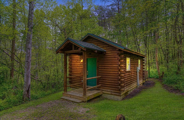 Blue Rose Cabins - Cozy Cabin