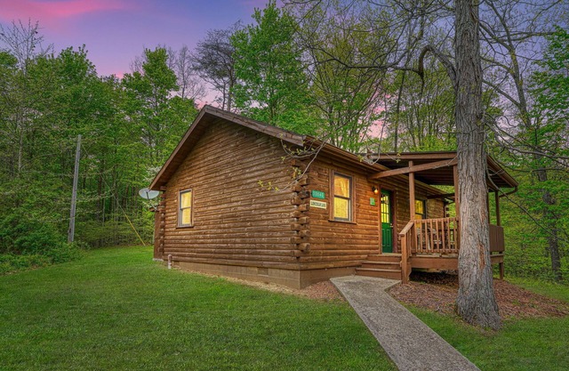 Blue Rose Cabins - Lincoln Log Cabin