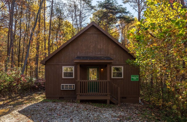 Blue Rose Cabins - Naughty Pine Cabin