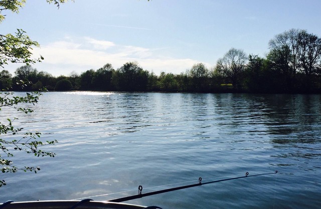 Boat Pontailler-sur-Saône, 2 bedrooms, 8 persons