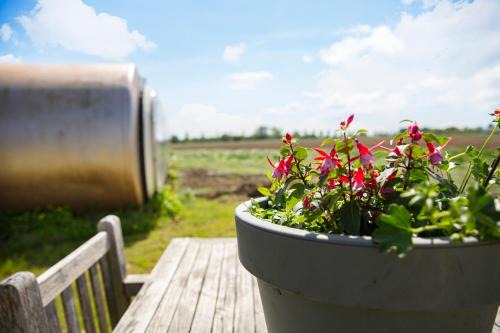 Boerderij Camping NixHoeve