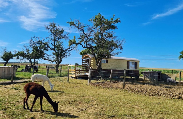 Bohemian Caravan Comfort South of Nancy