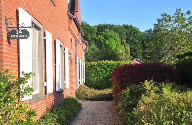 Boslucht Leuven