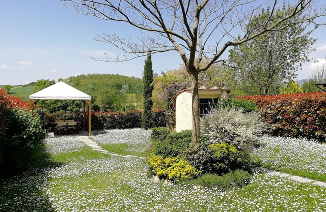 Bosso di Sopra - Mugello Tuscany