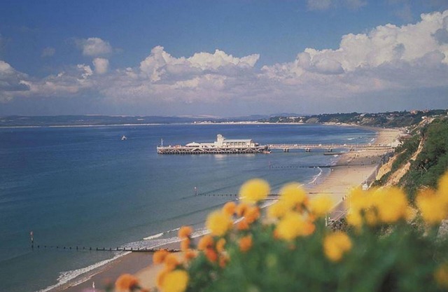 BOURNECOAST: CHALET BUNGALOW WITH LARGE PATIO OVERLOOKING THE SANDY BEACH-HB2656