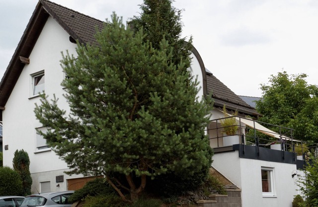 Bright, modern apartment between Nürburgring and Moselle, close to nature