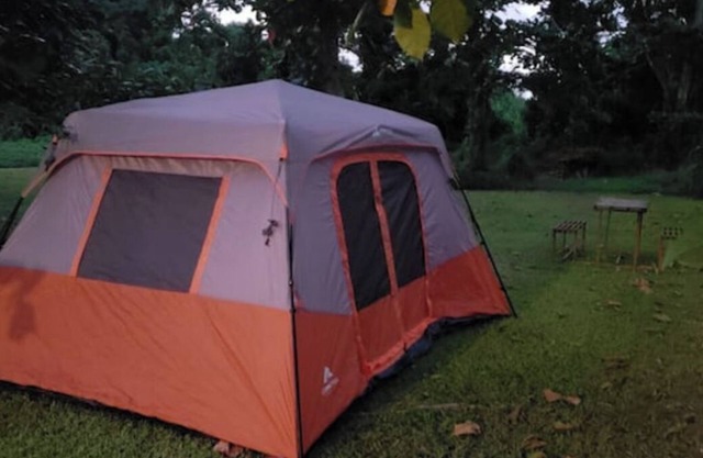 Brilliant 5-bedroom apartment with AC in Palmer