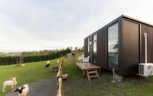 Bruce Farm Alpaca Cabin 4 by Tiny Away