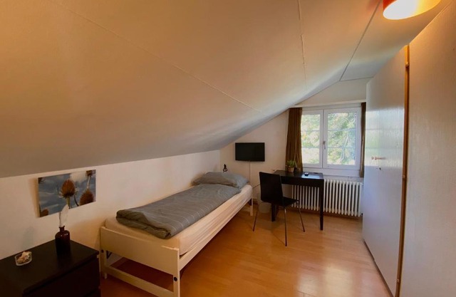 Budgetapartment Rheinfall von Swisspartments