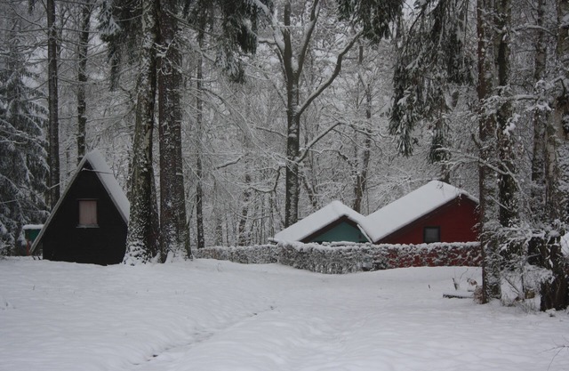 Bungalows Waldidylle Kriebstein