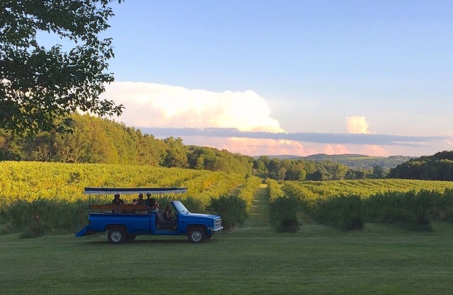 Burdick Blueberry Farm Guest House