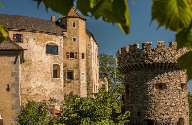 Burg Plankenstein
