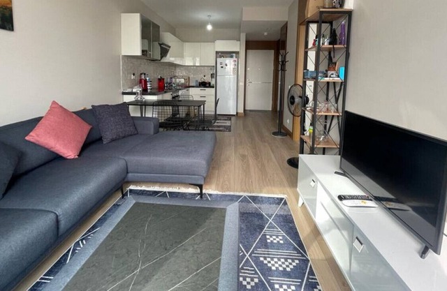 Business-Friendly Residence Flat in Fikirtepe