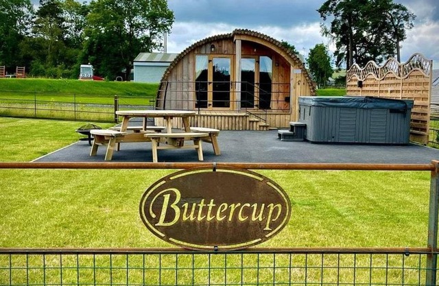 Buttercup