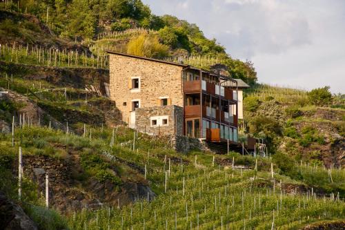 Ca' Barroni - Luxury Agriresort