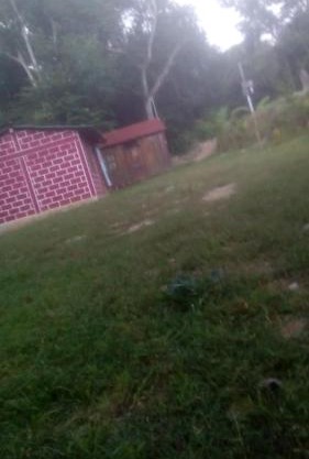 Cabaña la ira