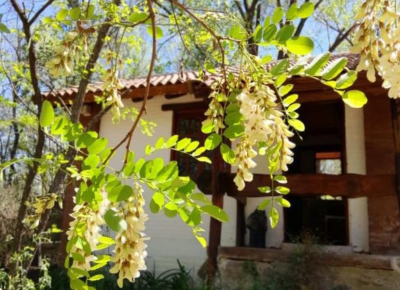 Cabañas Franca Austral
