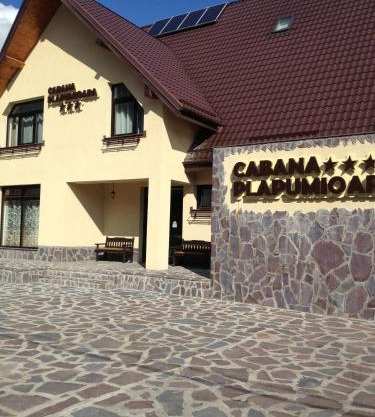 Cabana Plapumioara