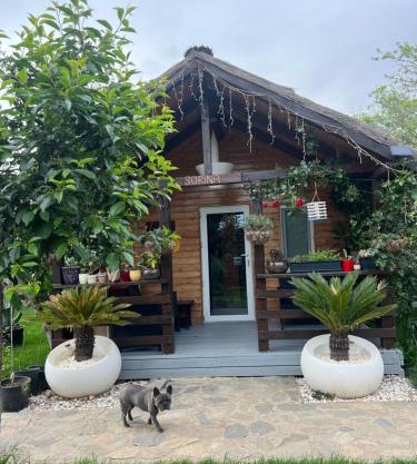 Cabana Sorina