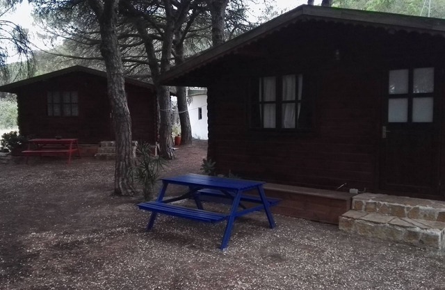 Cabañas de Verón. Among the pine forests of the dehesa de Roche.