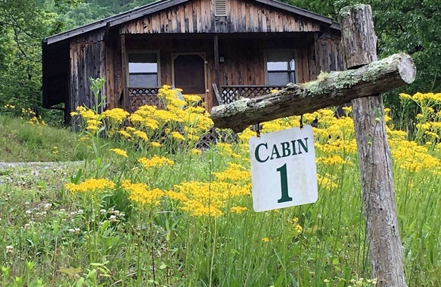 Cabin 1, Cozy Cottage with WiFi, Fireplace and Whirlpool Tub in Duffield, VA