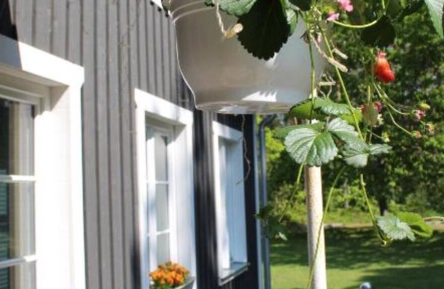 Cabin #5 at UKI Puhkeküla