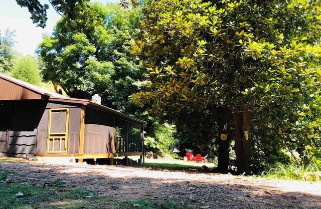 CABIN AT THE COVE at Watauga Lake!