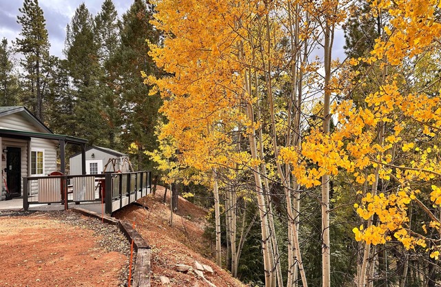 Cabin Pet-Friendly with 2 King Beds and Deck Near Pikes Peak