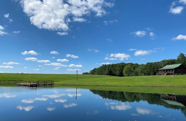 Cabin with private pond. A peaceful escape