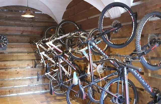 Cal Curpets - Bicicletas FREE