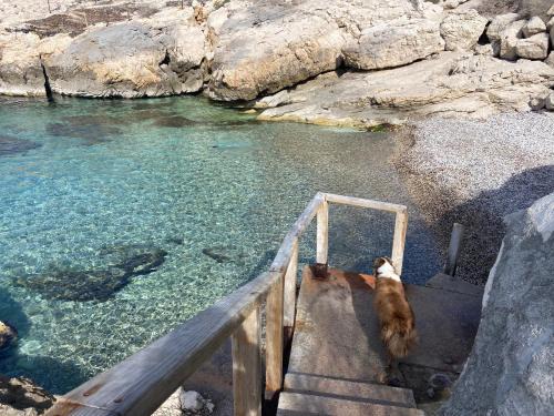 Calanque de Samena