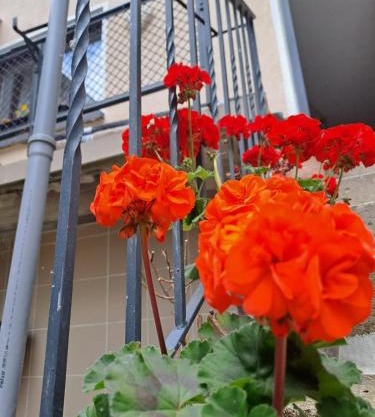 Camelia's Unterkunft