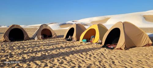 Camp White Desert