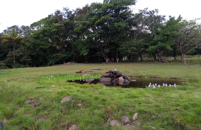 Camping and RV parking area 7