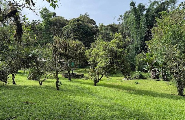 Camping para experiencias únicas