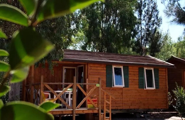 Campsite Tikayan Les Palmiers* - Georgia Confort mobile home 3 rooms 4 people Air-conditioned
