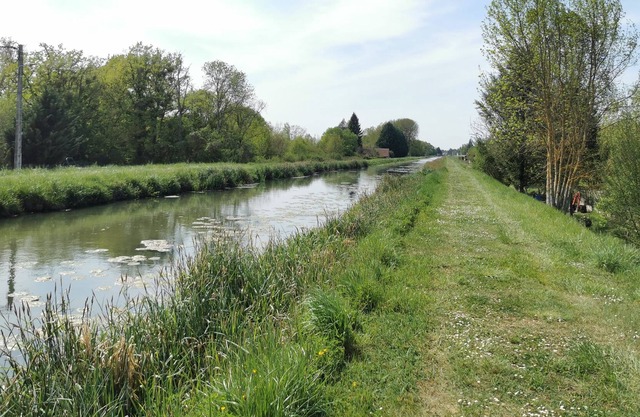 Canal House