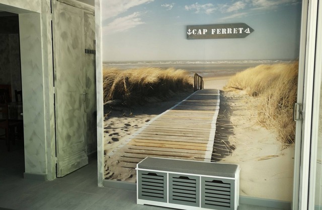 Cap Ferret sleeps 15