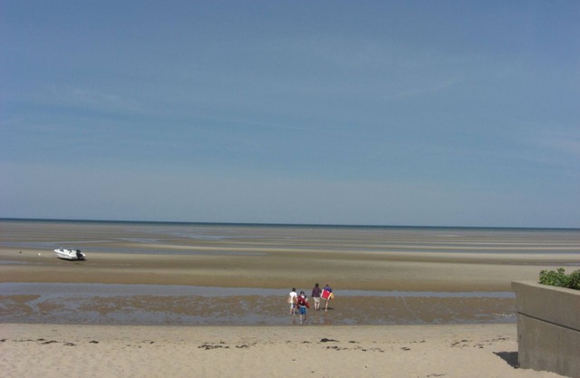 Cape Cod Great Pond Nature Lover's House Rental in Eastham