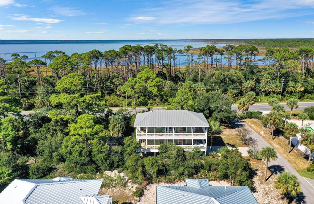 Cape Palms